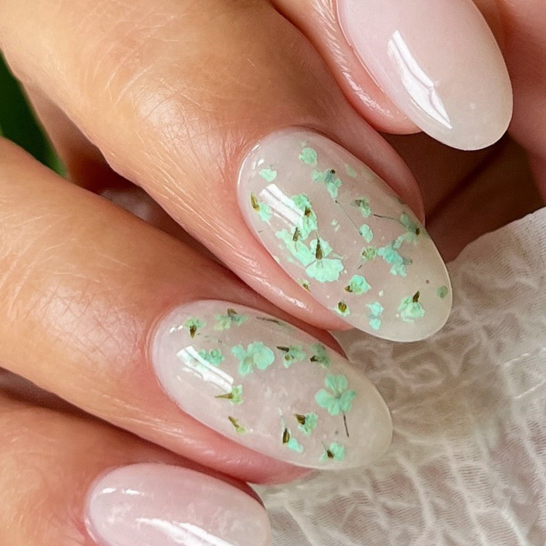 Milky Blossom Dybdepudder