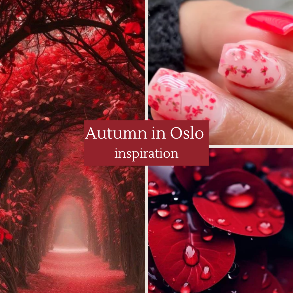 Autumn i Oslo Dyppepulver
